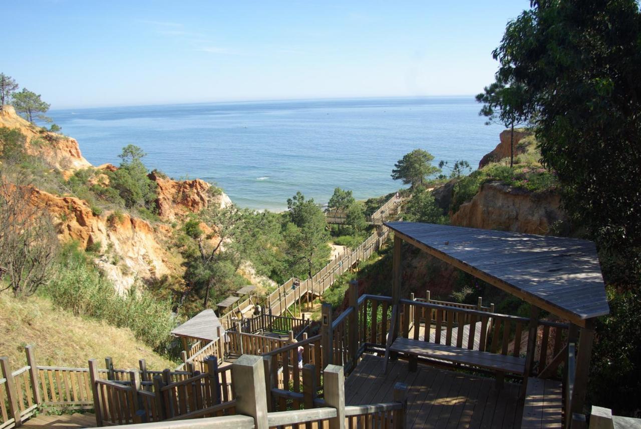 Apartamento Charming 2-bed In Olhos De Agua